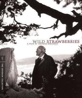 Wild Strawberries