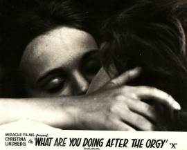 What Are You Doing After the Orgy?