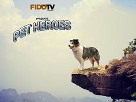 Pet Heroes