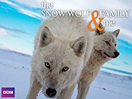 Snow Wolf Family and Me