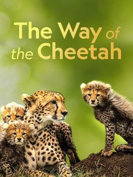 The Way of the Cheetah