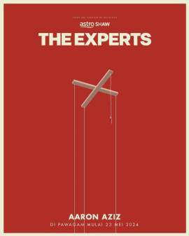 The Experts