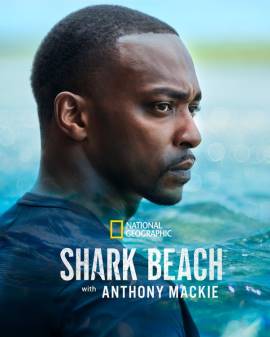 Shark Beach with Anthony Mackie