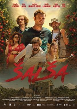 Salsa