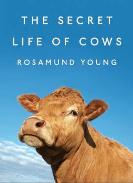 The Secret Life Of Cows